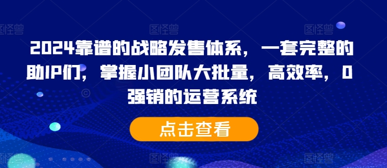 2024靠谱的战略发售体系，一套完整的助IP们，掌握小团队大批量，高效率，0 强销的运营系统-网创先锋