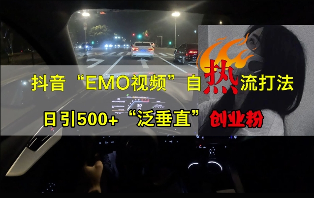 抖音EMO视频自热打法，日引500+“泛垂直”创业粉-网创先锋