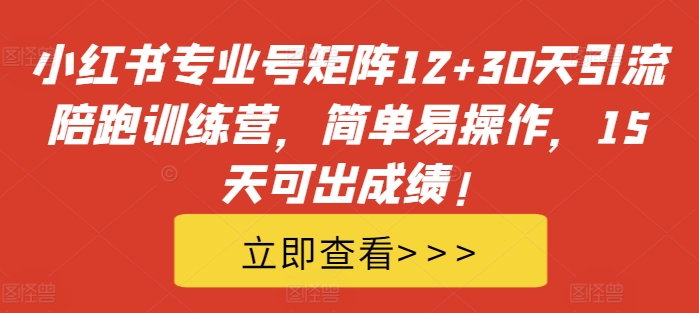 小红书专业号矩阵12+30天引流陪跑训练营，简单易操作，15天可出成绩!-网创先锋