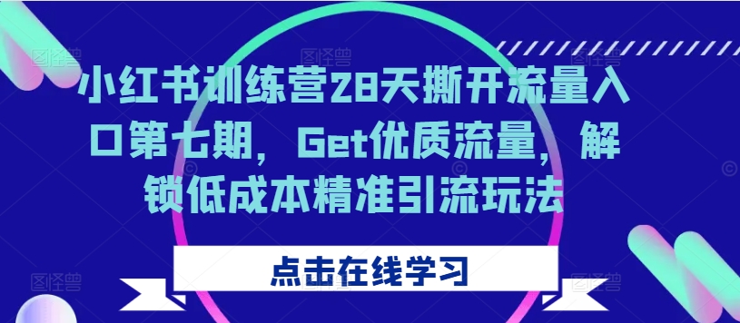 小红书训练营28天撕开流量入口第七期，Get优质流量，解锁低成本精准引流玩法-网创先锋