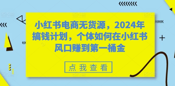 小红书电商无货源，2024年搞钱计划，个体如何在小红书风口赚到第一桶金-网创先锋