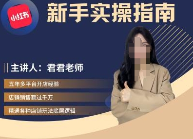 君君-小红书电商从入门到精通，新手实操指南-网创先锋