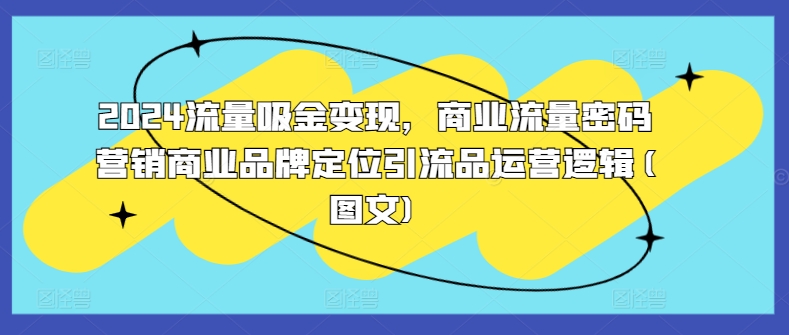 2024流量吸金变现，商业流量密码营销商业品牌定位引流品运营逻辑(图文)-网创先锋