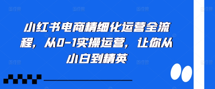 小红书电商精细化运营全流程，从0-1实操运营，让你从小白到精英-网创先锋