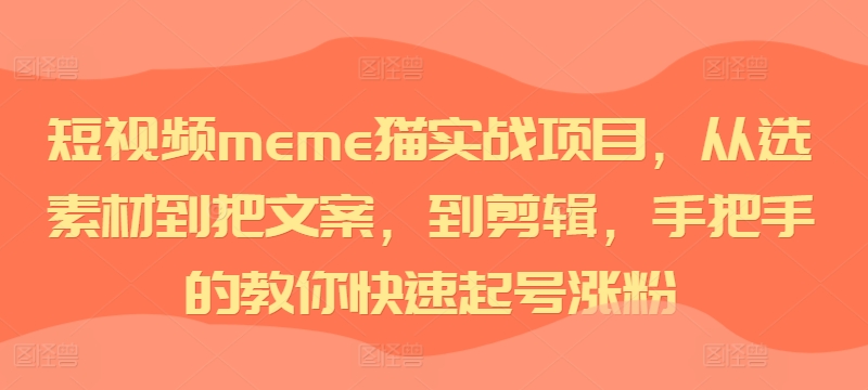 短视频meme猫实战项目，从选素材到把文案，到剪辑，手把手的教你快速起号涨粉-网创先锋