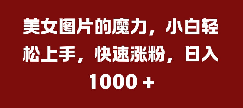美女图片的魔力，小白轻松上手，快速涨粉，日入几张【揭秘】-网创先锋