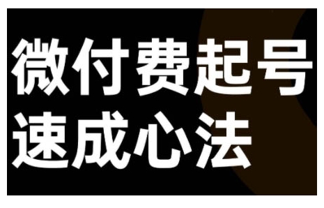 微付费起号速成课，视频号直播+抖音直播，微付费起号速成心法-网创先锋