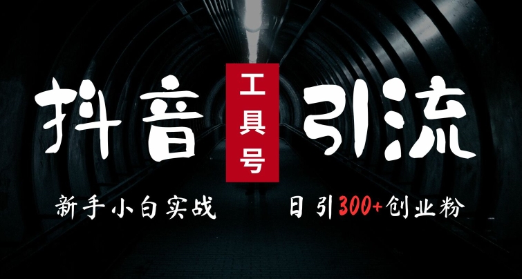 2024最新抖音工具号引流玩法，高效日引300+创业粉，当天变现5k，小白也可成为实战高手-网创先锋