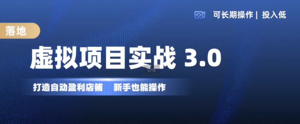虚拟项目实战3.0，打造自动盈利店铺，可长期操作投入低，新手也能操作-网创先锋