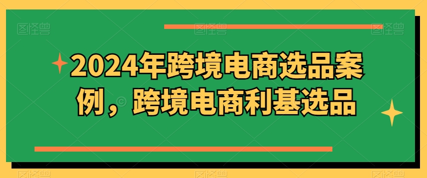 2024年跨境电商选品案例，跨境电商利基选品（更新11月）-网创先锋