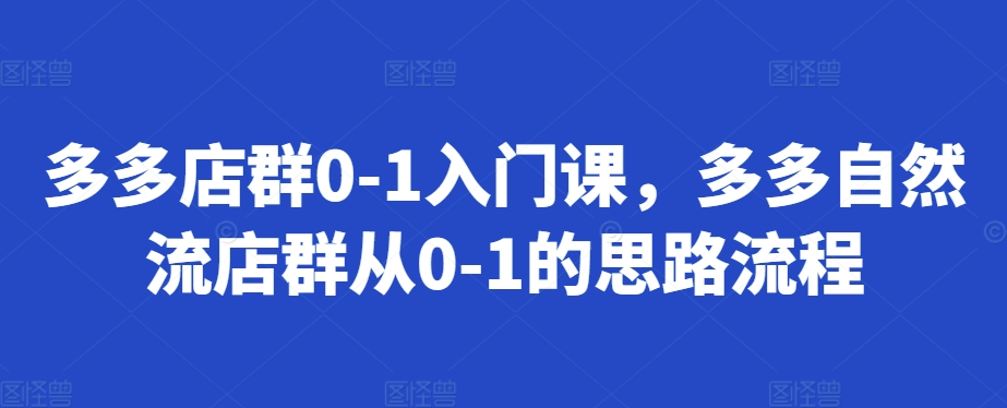 多多店群0-1入门课，多多自然流店群从0-1的思路流程-网创先锋