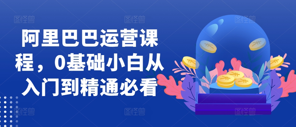 阿里巴巴运营课程，0基础小白从入门到精通必看-网创先锋