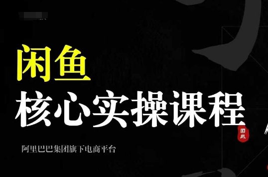 2024闲鱼核心实操课程，从养号、选品、发布、销售，教你做一个出单的闲鱼号-网创先锋