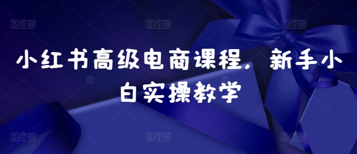小红书高级电商课程，新手小白实操教学-网创先锋