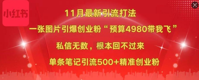 小红书11月最新图片打粉，一张图片引爆创业粉，“预算4980带我飞”，单条引流500+精准创业粉-网创先锋