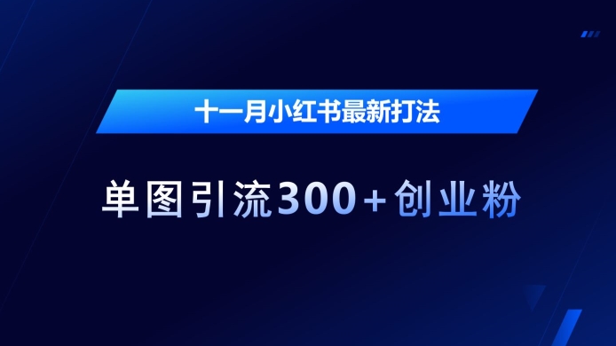 十一月小红书最新打法，单图引流300+创业粉【揭秘】-网创先锋