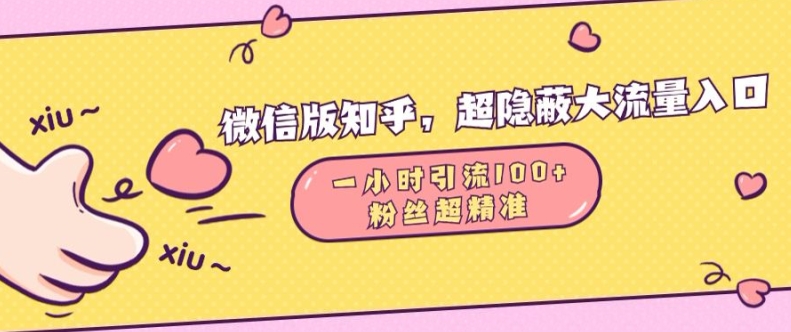 微信版知乎，超隐蔽流量入口1小时引流100人，粉丝质量超高【揭秘】-网创先锋