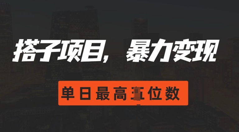 2024搭子玩法，0门槛，暴力变现，单日最高破四位数【揭秘】-网创先锋