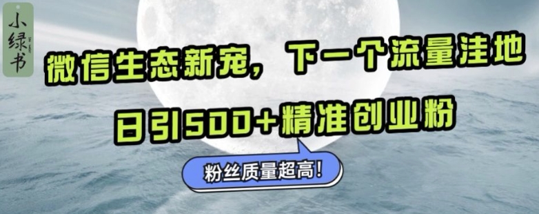 微信生态新宠小绿书：下一个流量洼地，日引500+精准创业粉，粉丝质量超高-网创先锋