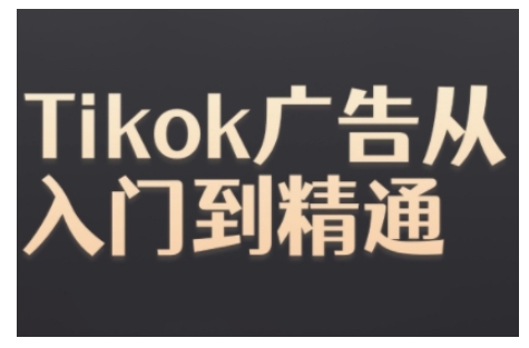Tiktok Ads实操教程，Tiktok广告从入门到精通-网创先锋