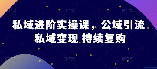 私域进阶实操课，公域引流 私域变现 持续复购-网创先锋