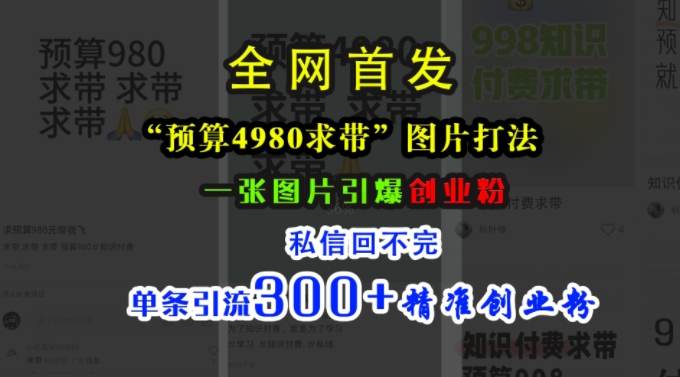 小红书“预算4980带我飞”图片打法，一张图片引爆创业粉，私信回不完，单条引流300+精准创业粉-网创先锋