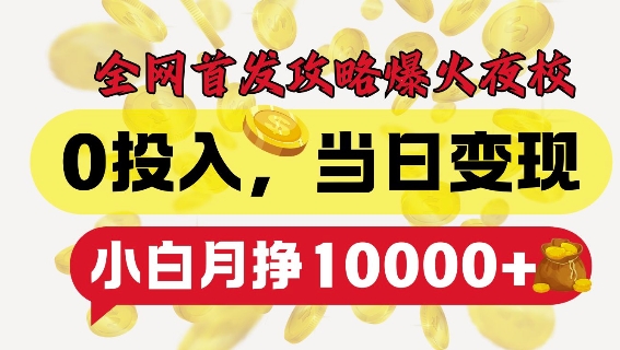 全网首发爆火夜校，0投入，当日变现，小白轻松月入1w+【揭秘】-网创先锋