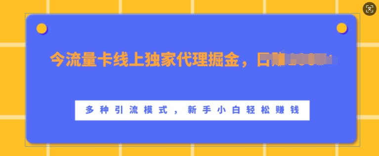 流量卡线上独家代理掘金，日入1k+ ，多种引流模式，新手小白轻松上手【揭秘】-网创先锋