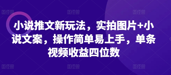 小说推文新玩法，实拍图片+小说文案，操作简单易上手，单条视频收益四位数-网创先锋