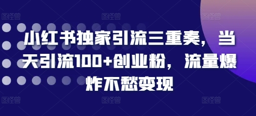 小红书独家引流三重奏，当天引流100+创业粉，流量爆炸不愁变现【揭秘】-网创先锋