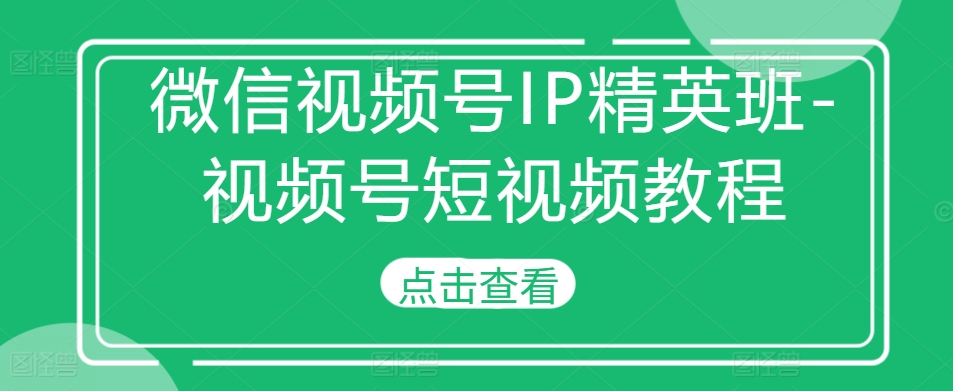 微信视频号IP精英班-视频号短视频教程-网创先锋