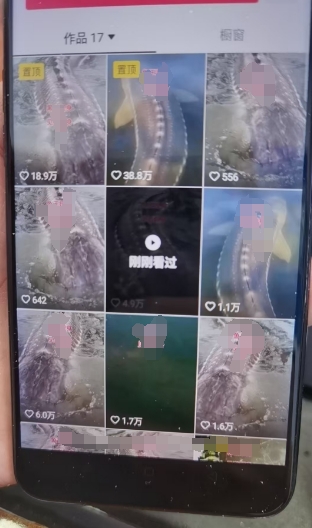 外面卖399的国学佛像原创暴力起号技术，快速起号，7天可达到一个万粉号-网创先锋