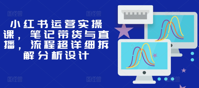 小红书运营实操课，笔记带货与直播，流程超详细拆解分析设计-网创先锋