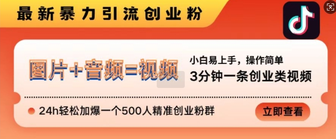 抖音最新暴力引流创业粉，3分钟一条创业类视频，24h轻松加爆一个500人精准创业粉群【揭秘】-网创先锋