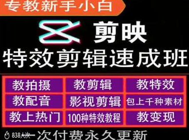 剪映特效教程和运营变现教程，特效剪辑速成班，专教新手小白-网创先锋