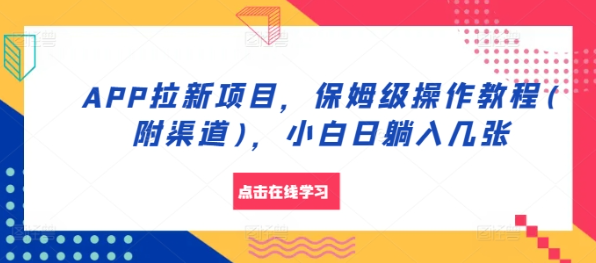 APP拉新项目，保姆级操作教程(附渠道)，小白日躺入几张【揭秘】-网创先锋