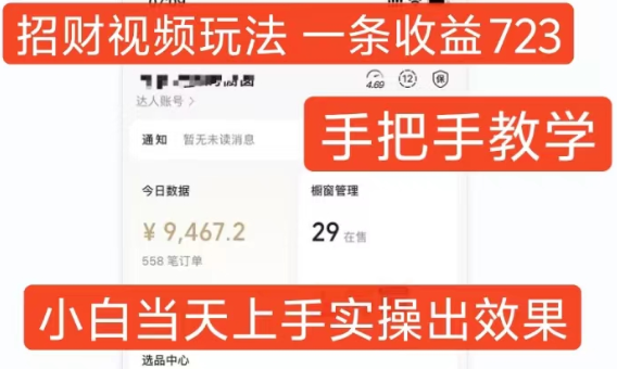 招财视频玩法，一条视频收益723，手把手教学，小白当天可上手-网创先锋
