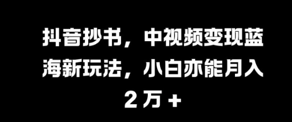 抖音抄书，中视频变现蓝海新玩法，小白亦能月入 过W【揭秘】-网创先锋