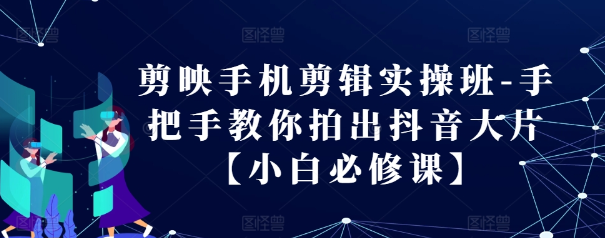 剪映手机剪辑实操班-手把手教你拍出抖音大片【小白必修课】-网创先锋