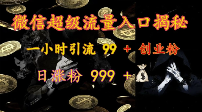微信超级流量入口揭秘：一小时引流 99 + 创业粉，日涨粉 999 +-网创先锋