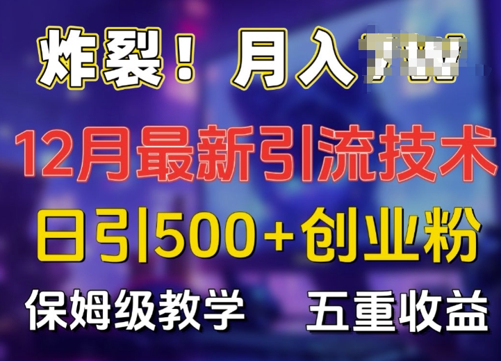 炸裂!揭秘12月最新日引流500+精准创业粉，多重收益保姆级教学-网创先锋