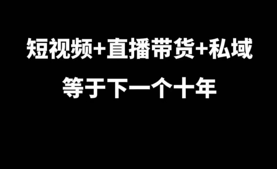 短视频+直播带货+私域等于下一个十年，大佬7年实战经验总结-网创先锋