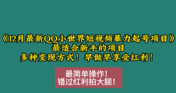 12月最新QQ小世界短视频暴力起号项目，最适合新手的项目，多种变现方式-网创先锋