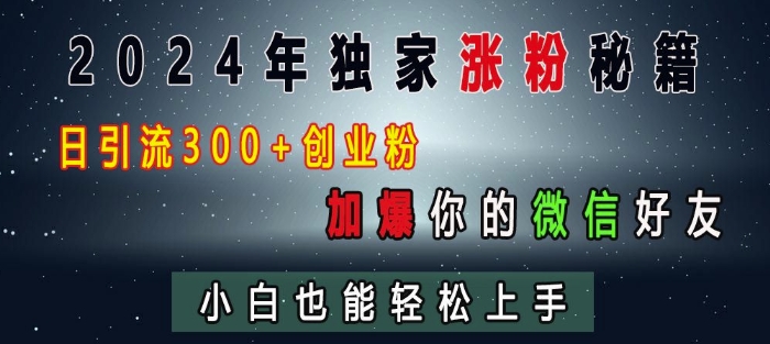 2024年独家涨粉秘籍，日引流300+创业粉，加爆你的微信好友，小白也能轻松上手-网创先锋