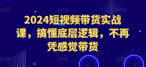 2024短视频带货实战课，搞懂底层逻辑，不再凭感觉带货-网创先锋