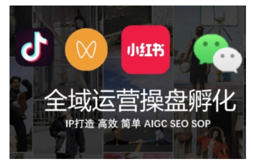 全域运营操盘(抖音+私域+小红书)，IP打造高效简单-网创先锋