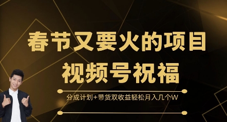 春节又要火的项目视频号祝福，分成计划+带货双收益，轻松月入几个W【揭秘】-网创先锋