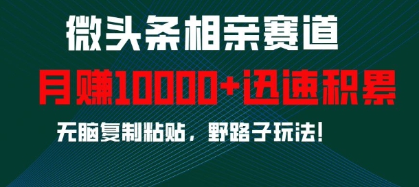 微头条相亲赛道，迅速积累，无脑复制粘贴，野路子玩法，月入1w-网创先锋
