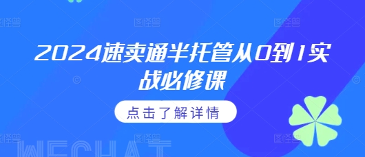 2024速卖通半托管从0到1实战必修课，掌握通投广告打法、熟悉速卖通半托管的政策细节-网创先锋