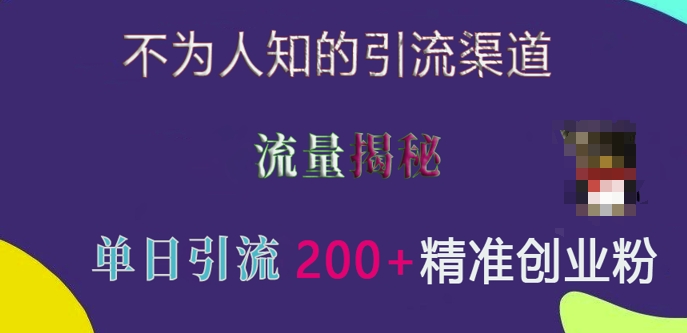 不为人知的引流渠道，流量揭秘，实测单日引流200+精准创业粉【揭秘】-网创先锋